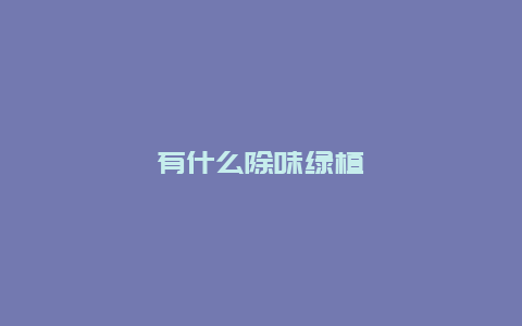 有什么除味绿植