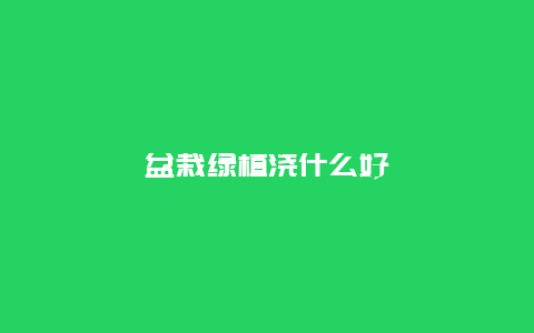 盆栽绿植浇什么好