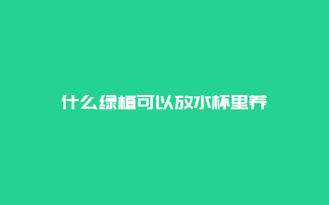 什么绿植可以放水杯里养