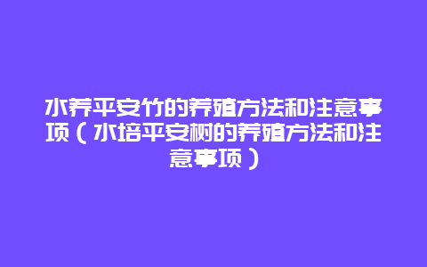 水养平安竹的养殖方法和注意事项（水培平安树的养殖方法和注意事项）