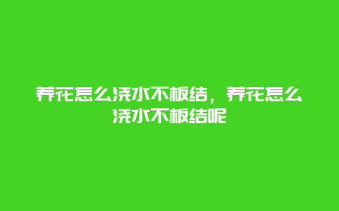 养花怎么浇水不板结，养花怎么浇水不板结呢