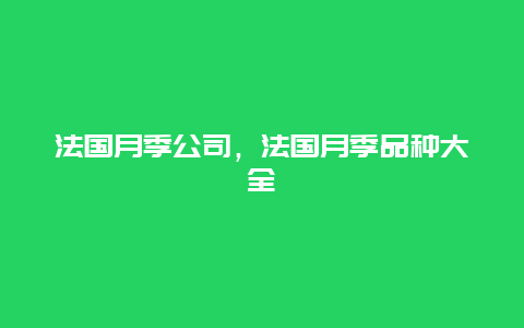 法国月季公司，法国月季品种大全