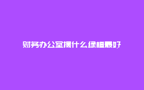 财务办公室摆什么绿植最好