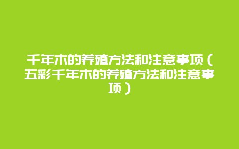 千年木的养殖方法和注意事项（五彩千年木的养殖方法和注意事项）