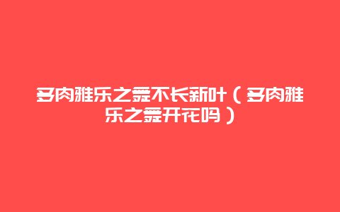 多肉雅乐之舞不长新叶（多肉雅乐之舞开花吗）