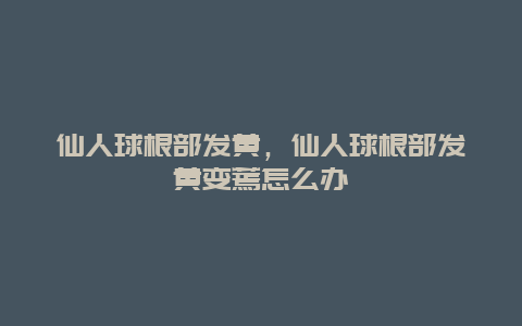 仙人球根部发黄，仙人球根部发黄变蔫怎么办