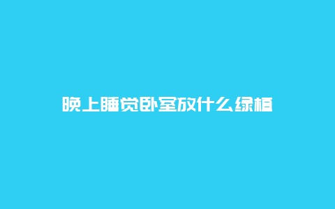 晚上睡觉卧室放什么绿植