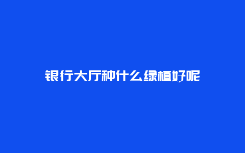 银行大厅种什么绿植好呢