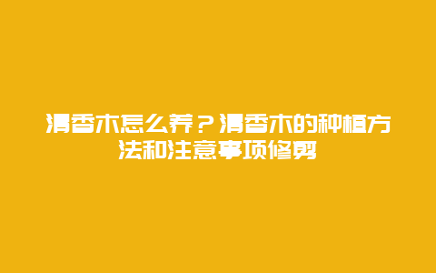 清香木怎么养？清香木的种植方法和注意事项修剪