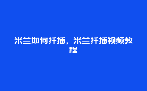 米兰如何扦插，米兰扦插视频教程