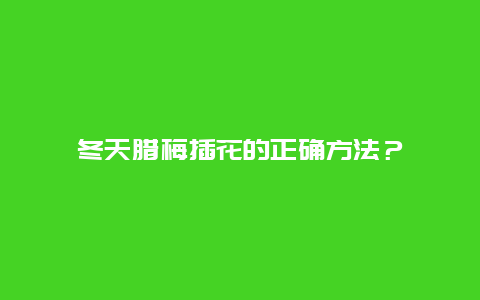 冬天腊梅插花的正确方法？