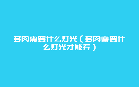 多肉需要什么灯光（多肉需要什么灯光才能养）