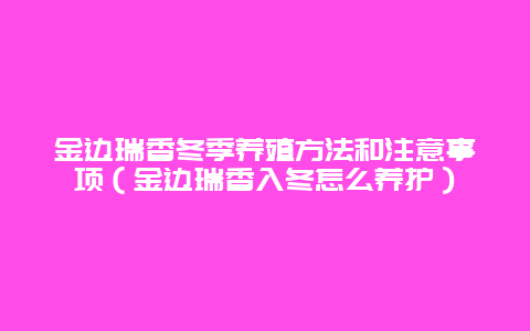 金边瑞香冬季养殖方法和注意事项（金边瑞香入冬怎么养护）