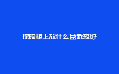 保险柜上放什么盆栽较好