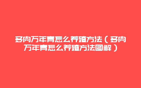 多肉万年青怎么养殖方法（多肉万年青怎么养殖方法图解）