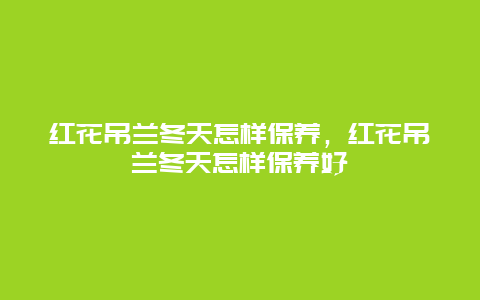 红花吊兰冬天怎样保养，红花吊兰冬天怎样保养好