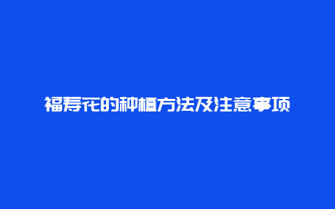 福寿花的种植方法及注意事项