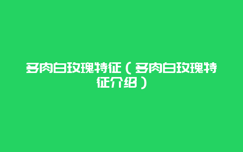 多肉白玫瑰特征（多肉白玫瑰特征介绍）