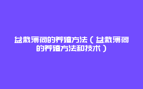 盆栽薄荷的养殖方法（盆栽薄荷的养殖方法和技术）