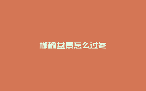 榔榆盆景怎么过冬