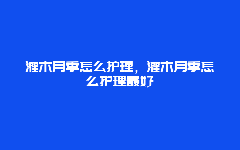 灌木月季怎么护理，灌木月季怎么护理最好