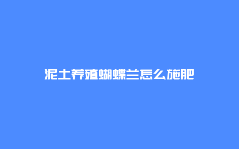 泥土养殖蝴蝶兰怎么施肥