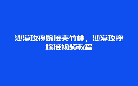 沙漠玫瑰嫁接夹竹桃，沙漠玫瑰嫁接视频教程