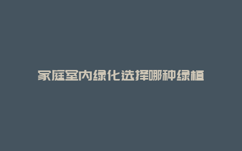 家庭室内绿化选择哪种绿植