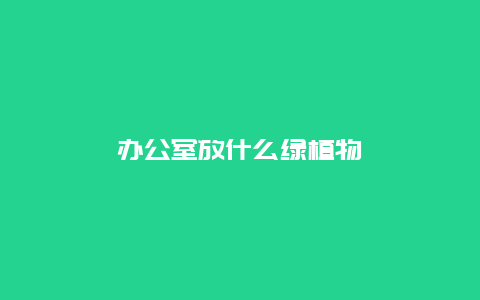 办公室放什么绿植物