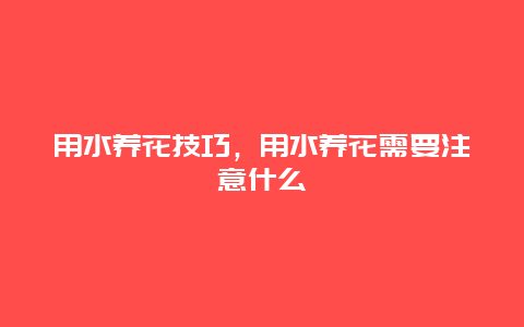 用水养花技巧，用水养花需要注意什么