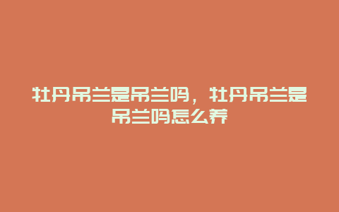 牡丹吊兰是吊兰吗，牡丹吊兰是吊兰吗怎么养