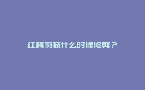 红梅树枝什么时候修剪？