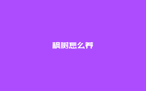 枫树怎么养