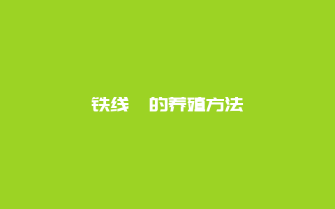 铁线蕨的养殖方法