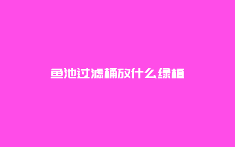 鱼池过滤桶放什么绿植