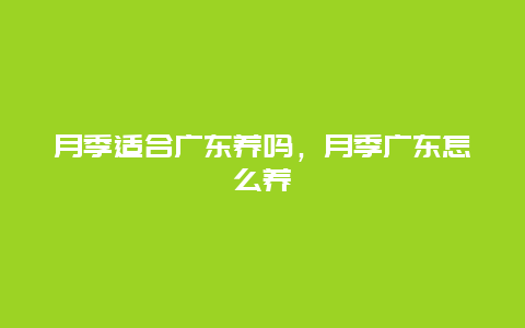 月季适合广东养吗，月季广东怎么养