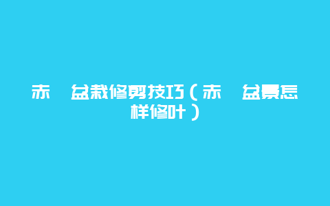 赤楠盆栽修剪技巧（赤楠盆景怎样修叶）