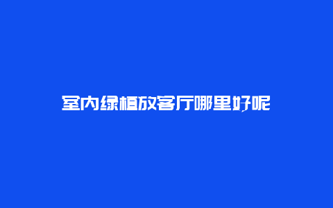 室内绿植放客厅哪里好呢