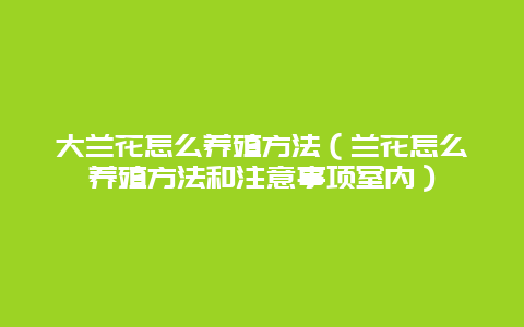 大兰花怎么养殖方法（兰花怎么养殖方法和注意事项室内）