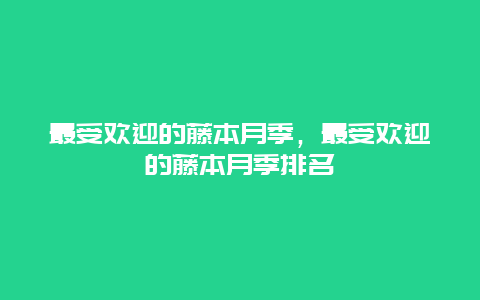 最受欢迎的藤本月季，最受欢迎的藤本月季排名