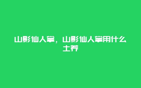 山影仙人掌，山影仙人掌用什么土养