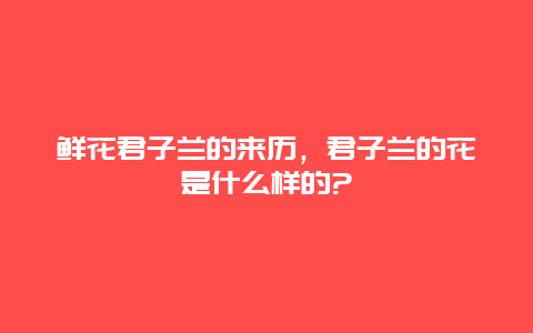 鲜花君子兰的来历，君子兰的花是什么样的?