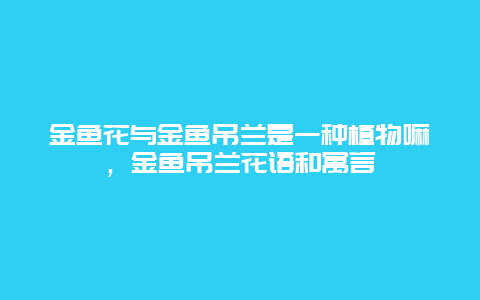 金鱼花与金鱼吊兰是一种植物嘛，金鱼吊兰花语和寓言