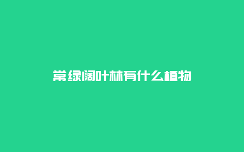 常绿阔叶林有什么植物