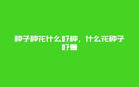 种子种花什么好种，什么花种子好看