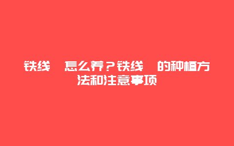 铁线蕨怎么养？铁线蕨的种植方法和注意事项