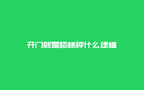 开门就是楼梯种什么绿植