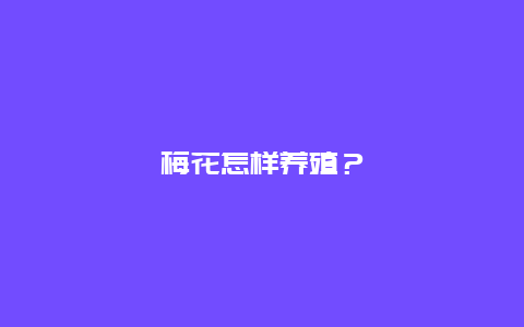 梅花怎样养殖？