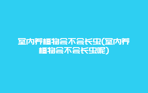 室内养植物会不会长虫(室内养植物会不会长虫呢)