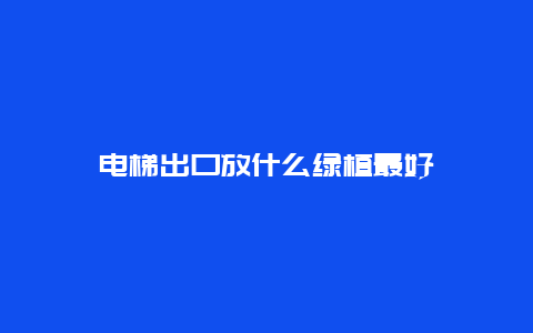 电梯出口放什么绿植最好